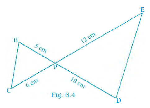 Page 64 Chapter 6 Class 10th NCERT Exemplar